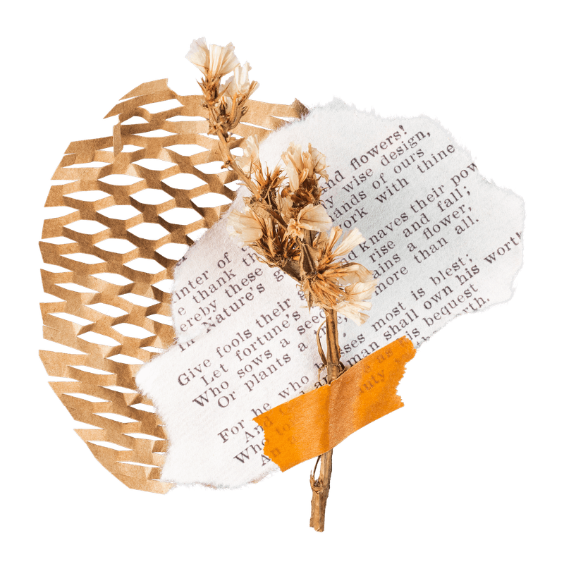 Ceramic vase illustration